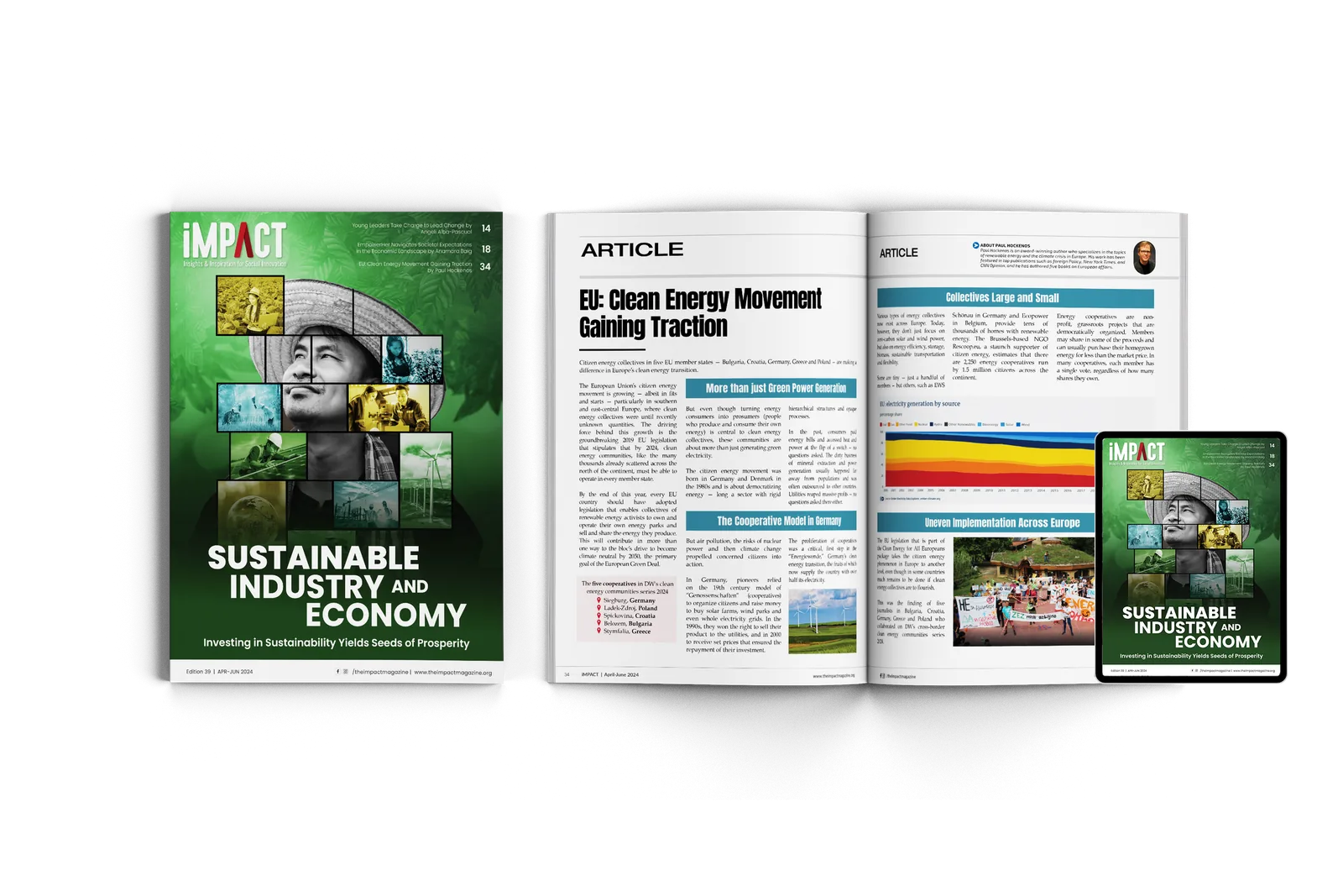 iMPACT: Sustainable Industry and Economy issue